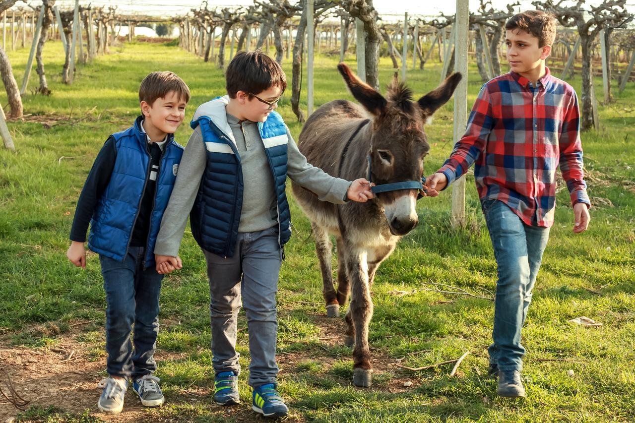 Azienda Agrituristica Il Pago Нова-Сири-Марина Экстерьер фото