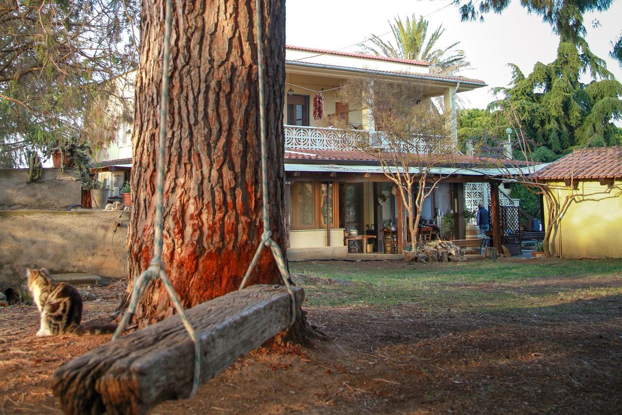 Azienda Agrituristica Il Pago Нова-Сири-Марина Экстерьер фото