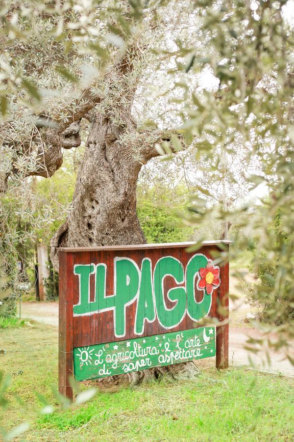 Azienda Agrituristica Il Pago Нова-Сири-Марина Экстерьер фото